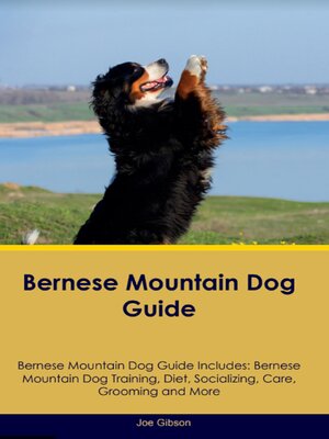 cover image of Bernese Mountain Dog Guide  Bernese Mountain Dog Guide Includes